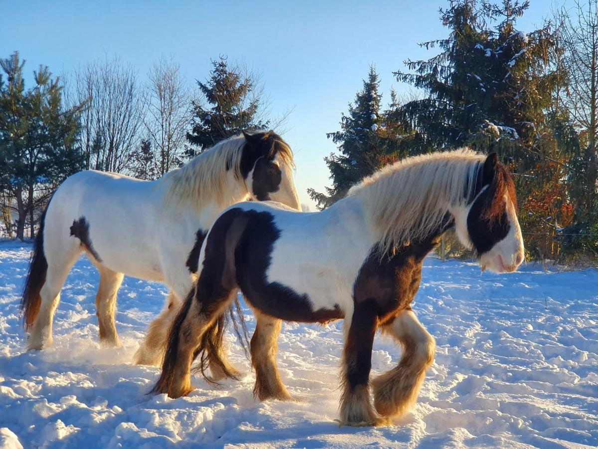 Leuk Boerderijtje Op Prachtige Plek, Nabij Natuurgebied Ruurlo Exteriör bild