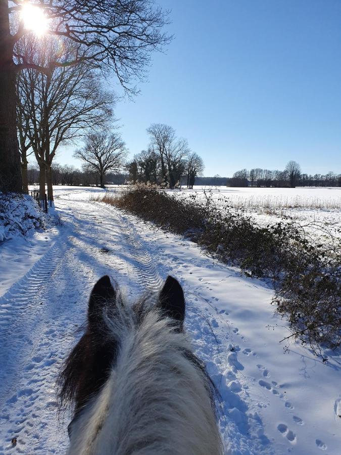 Leuk Boerderijtje Op Prachtige Plek, Nabij Natuurgebied Ruurlo Exteriör bild