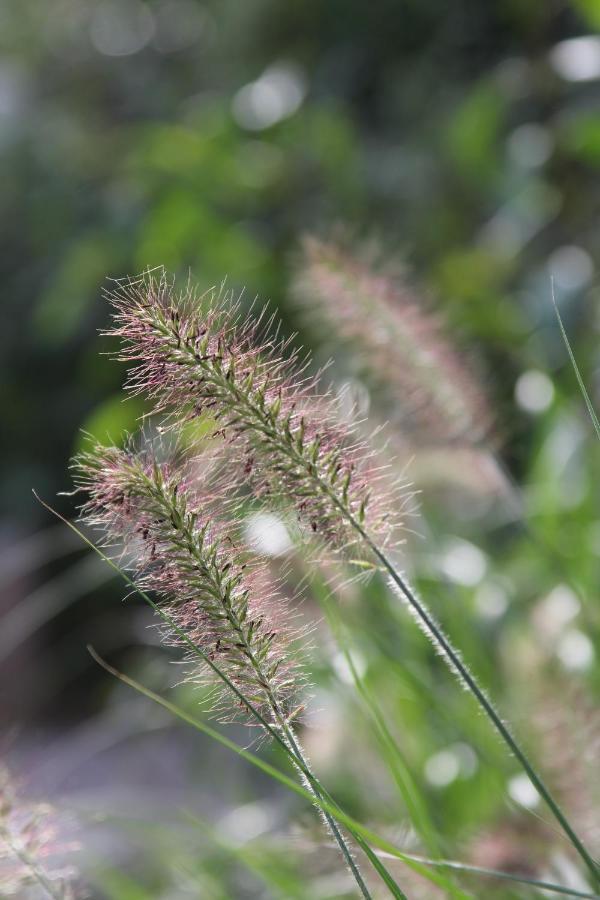 Leuk Boerderijtje Op Prachtige Plek, Nabij Natuurgebied Ruurlo Exteriör bild