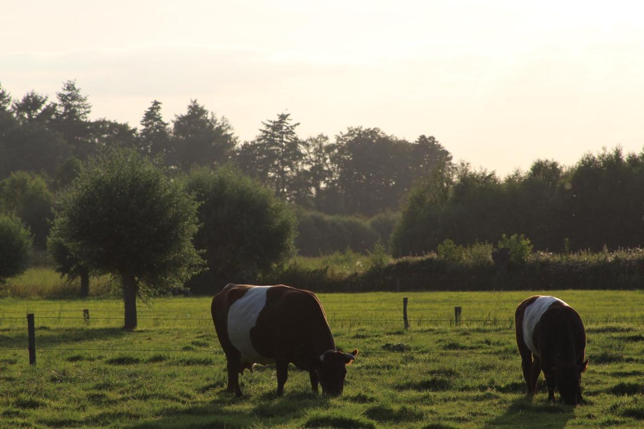 Leuk Boerderijtje Op Prachtige Plek, Nabij Natuurgebied Ruurlo Exteriör bild